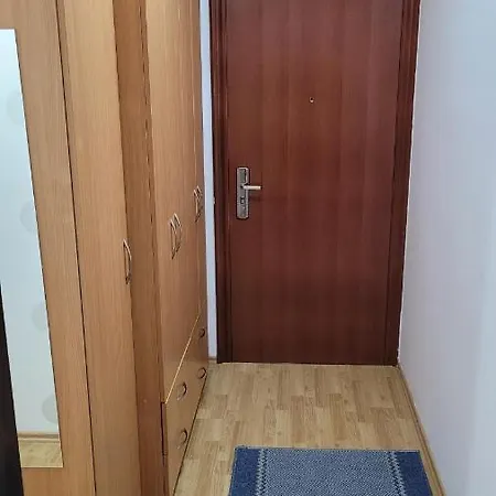 Daire - Sunny Peaks Pale